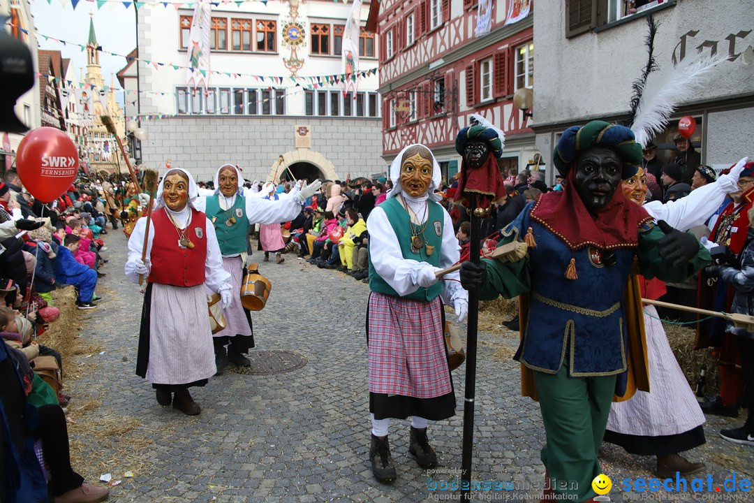 VSAN-Landschaftstreffen: Bad-Waldsee, 28.01.2018