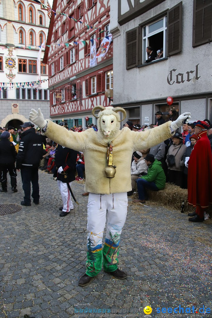 VSAN-Landschaftstreffen: Bad-Waldsee, 28.01.2018