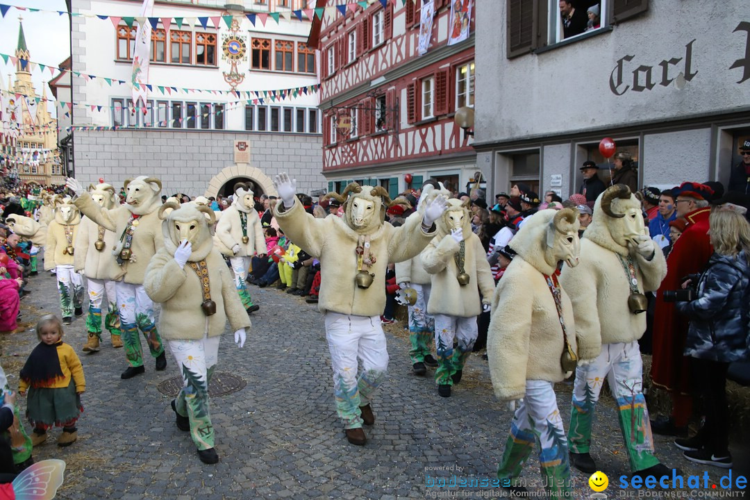 VSAN-Landschaftstreffen: Bad-Waldsee, 28.01.2018