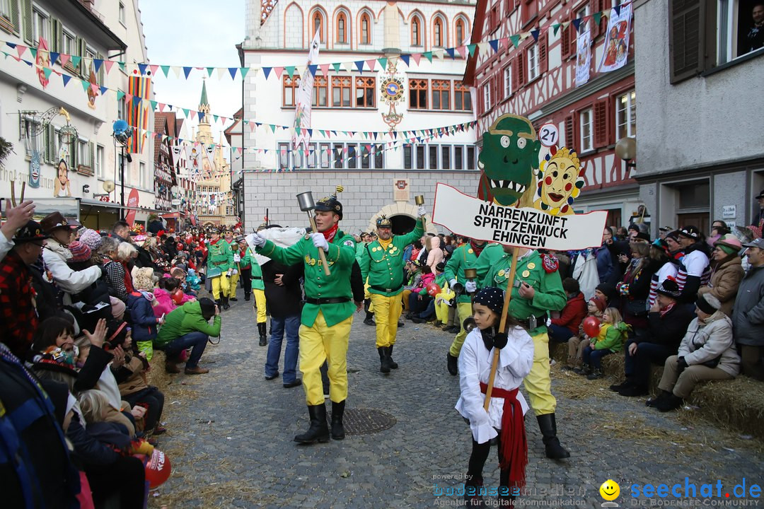 VSAN-Landschaftstreffen: Bad-Waldsee, 28.01.2018