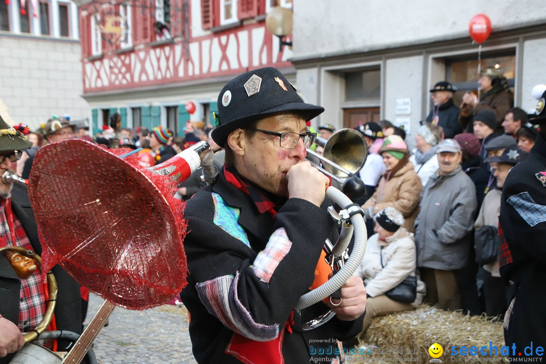 VSAN-Landschaftstreffen: Bad-Waldsee, 28.01.2018