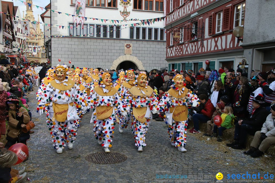 VSAN-Landschaftstreffen: Bad-Waldsee, 28.01.2018