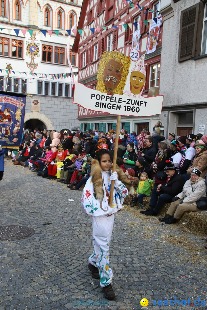 VSAN-Landschaftstreffen: Bad-Waldsee, 28.01.2018