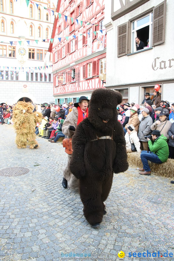 VSAN-Landschaftstreffen: Bad-Waldsee, 28.01.2018