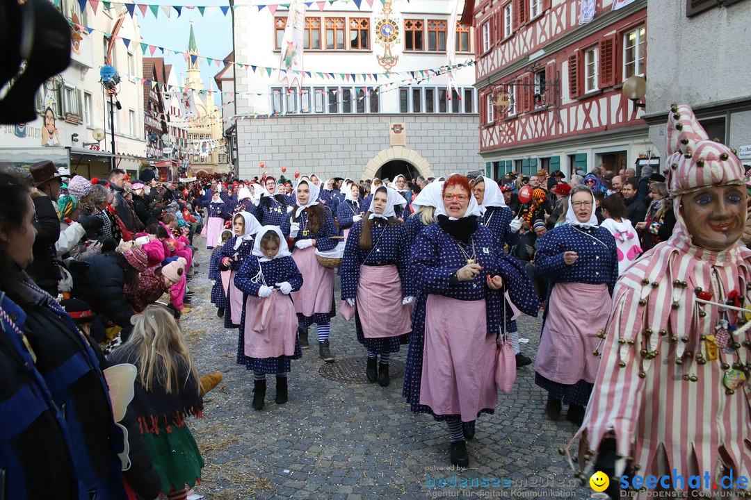 VSAN-Landschaftstreffen: Bad-Waldsee, 28.01.2018