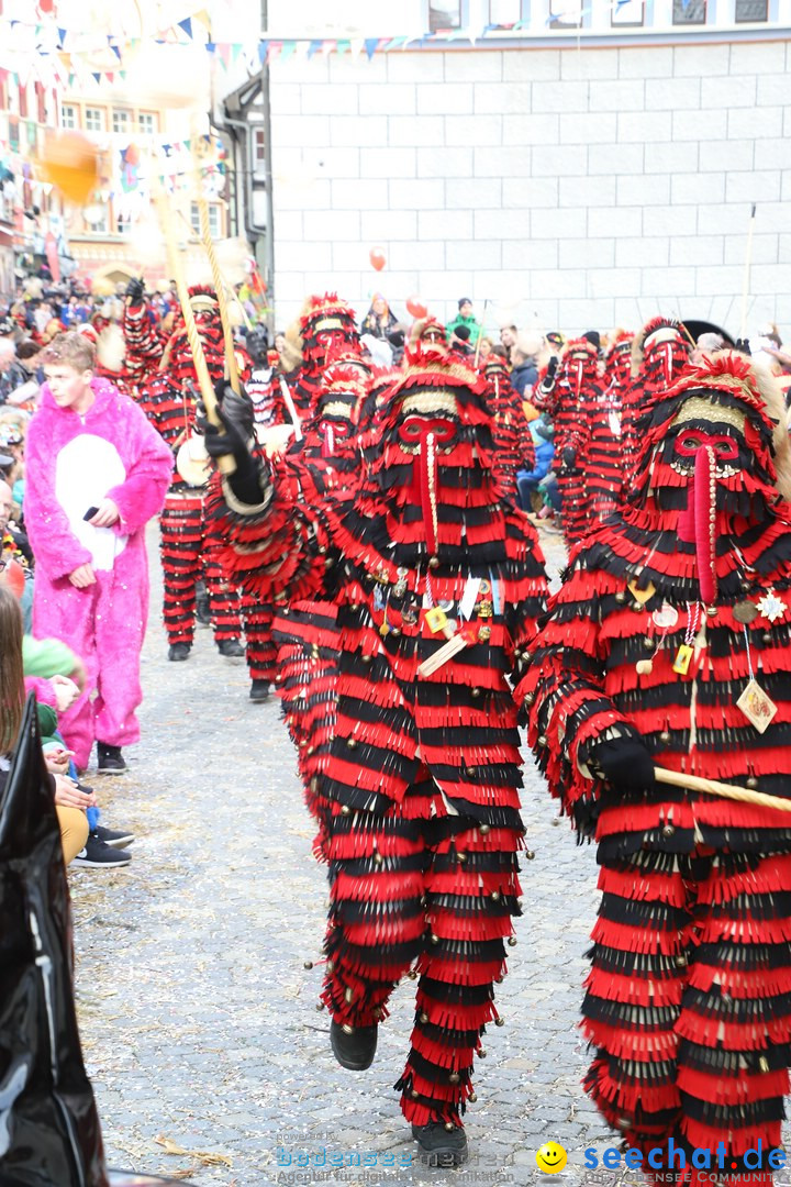 VSAN-Landschaftstreffen: Bad-Waldsee, 28.01.2018