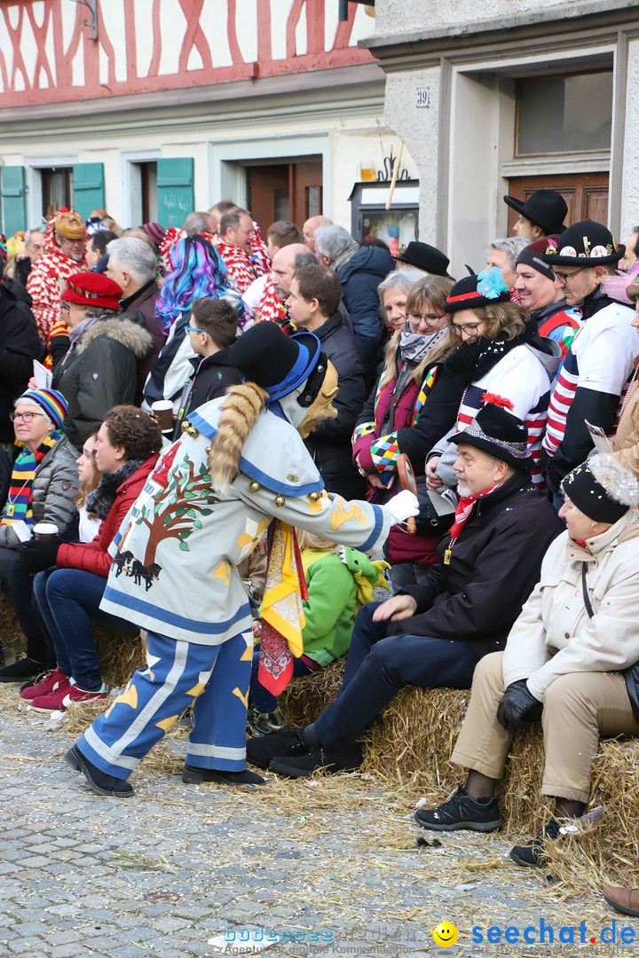 VSAN-Landschaftstreffen: Bad-Waldsee, 28.01.2018