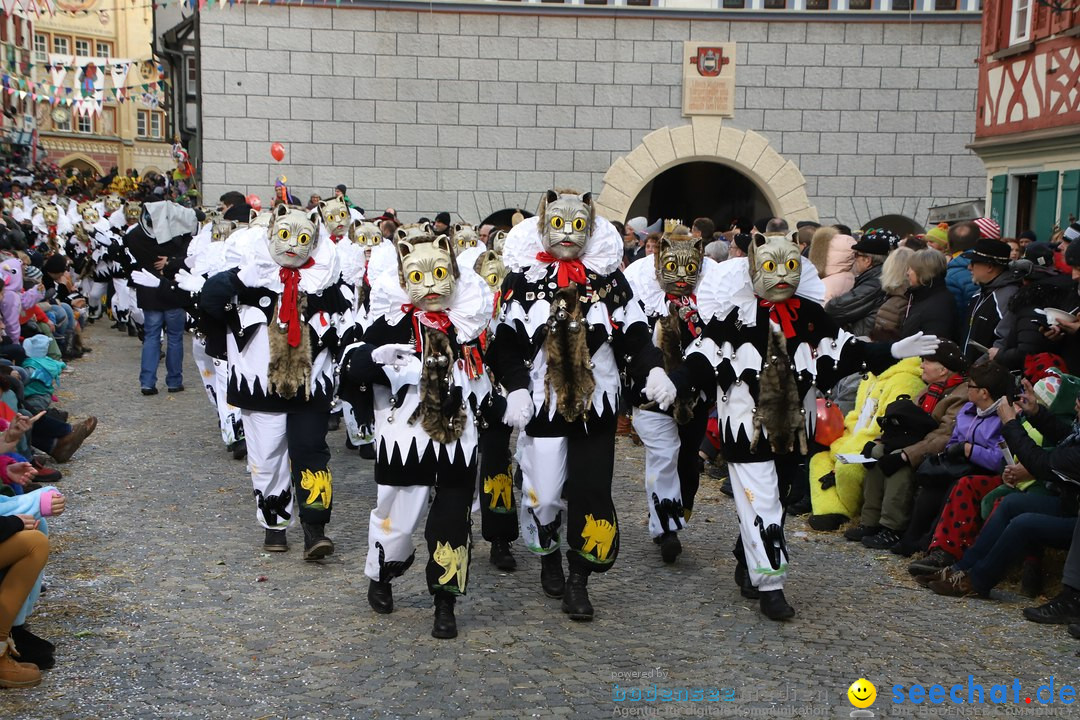 VSAN-Landschaftstreffen: Bad-Waldsee, 28.01.2018