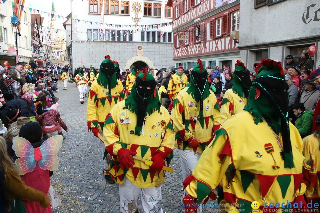 VSAN-Landschaftstreffen: Bad-Waldsee, 28.01.2018