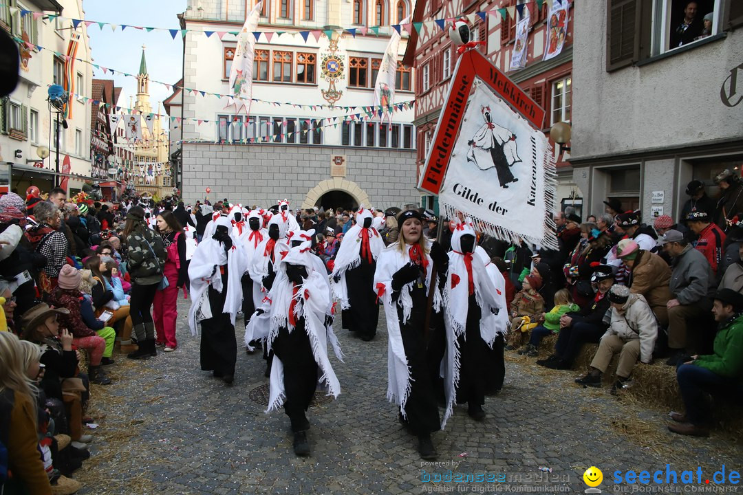 VSAN-Landschaftstreffen: Bad-Waldsee, 28.01.2018