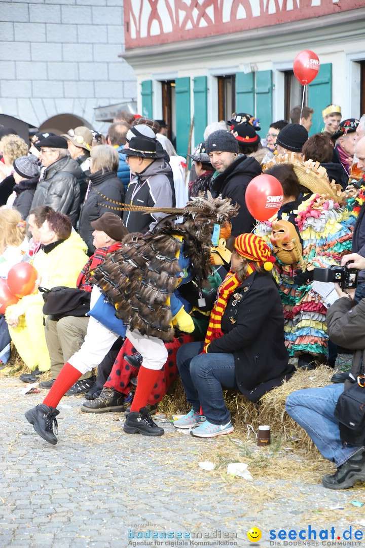VSAN-Landschaftstreffen: Bad-Waldsee, 28.01.2018