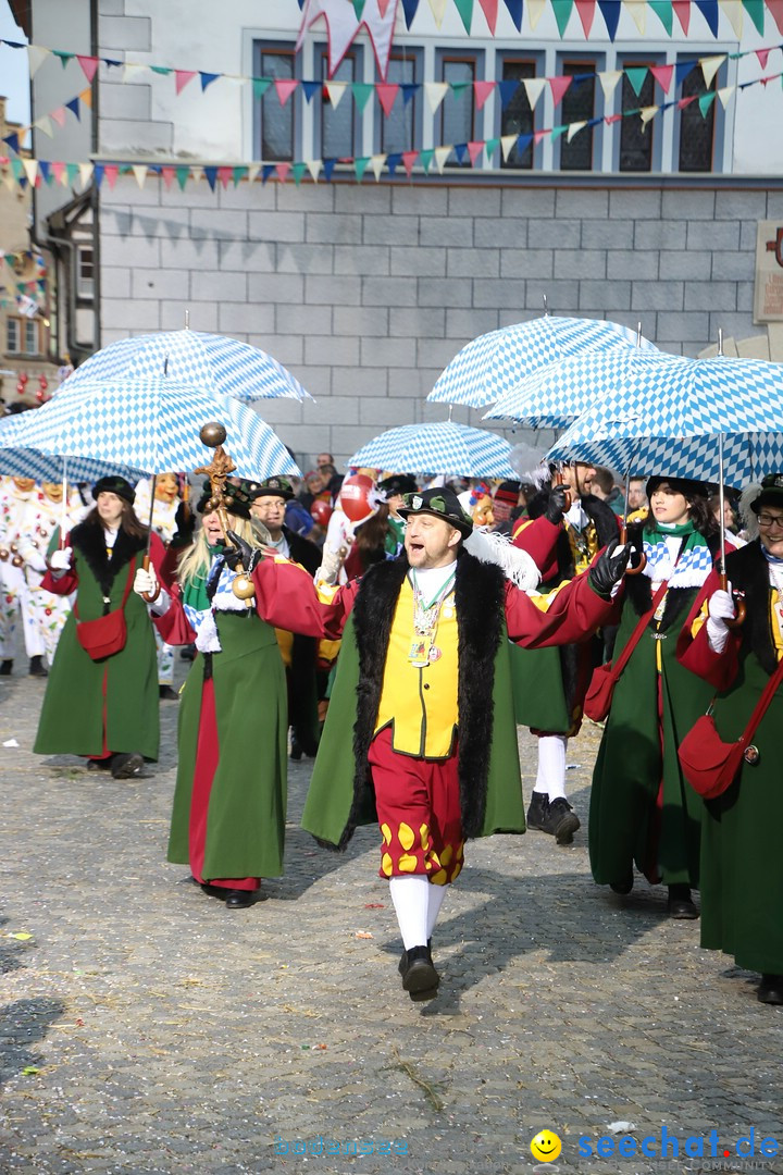 VSAN-Landschaftstreffen: Bad-Waldsee, 28.01.2018