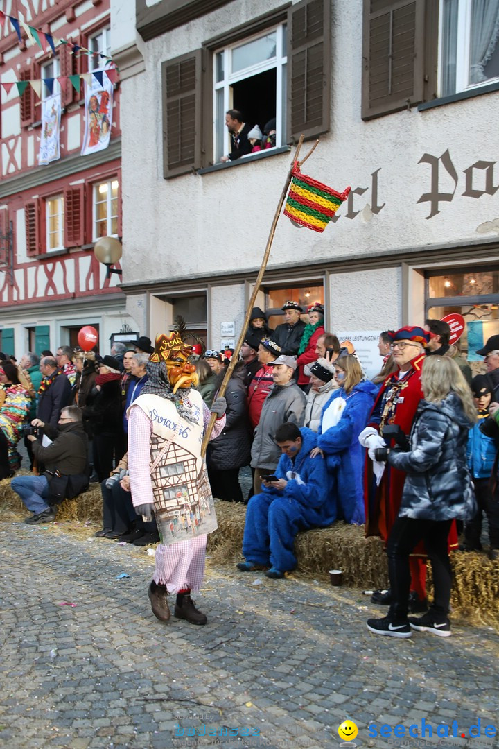 VSAN-Landschaftstreffen: Bad-Waldsee, 28.01.2018