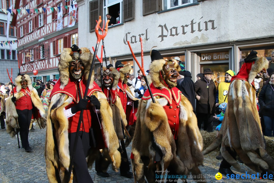 VSAN-Landschaftstreffen: Bad-Waldsee, 28.01.2018