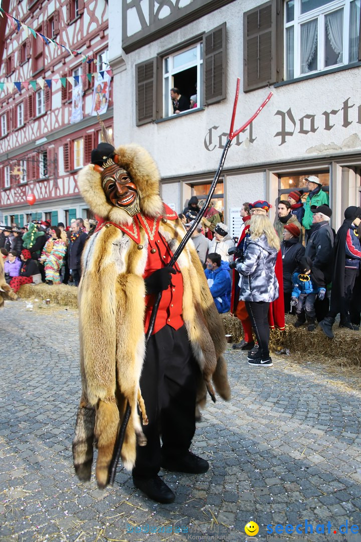 VSAN-Landschaftstreffen: Bad-Waldsee, 28.01.2018