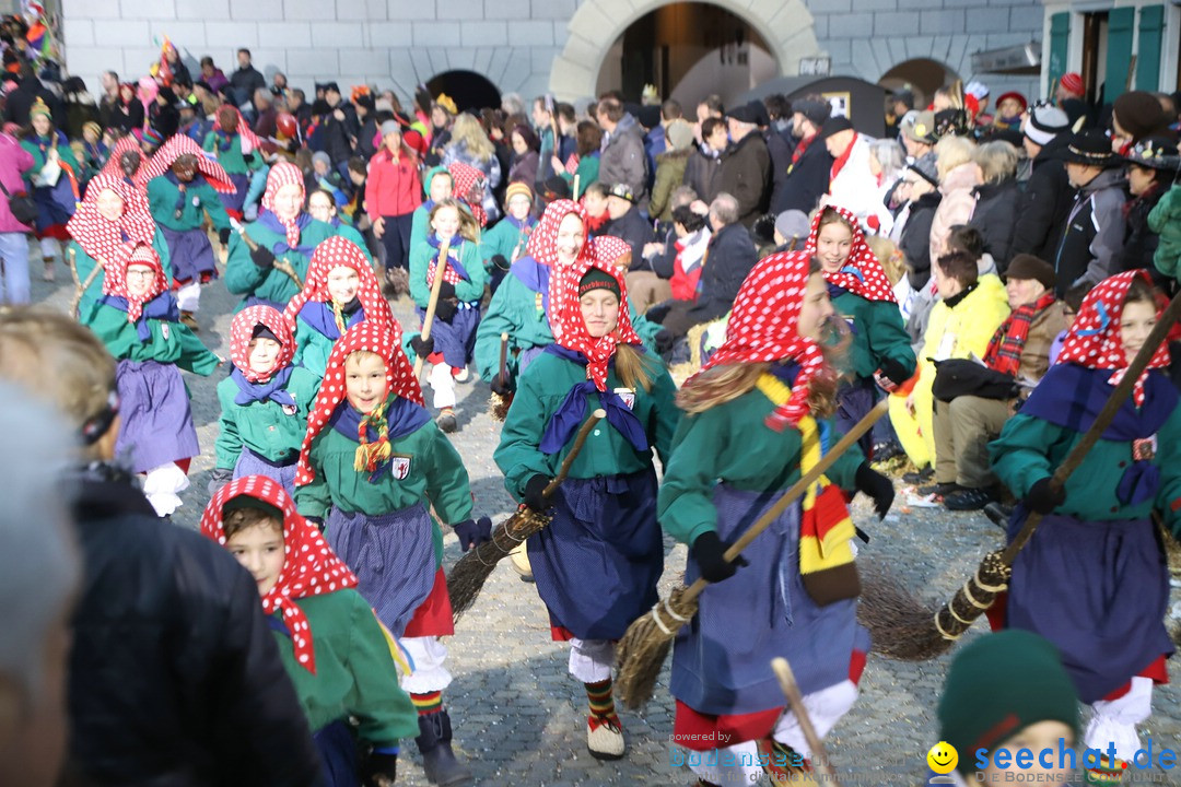 VSAN-Landschaftstreffen: Bad-Waldsee, 28.01.2018