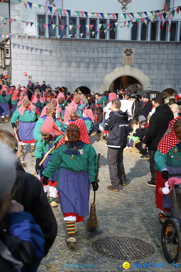 VSAN-Landschaftstreffen: Bad-Waldsee, 28.01.2018