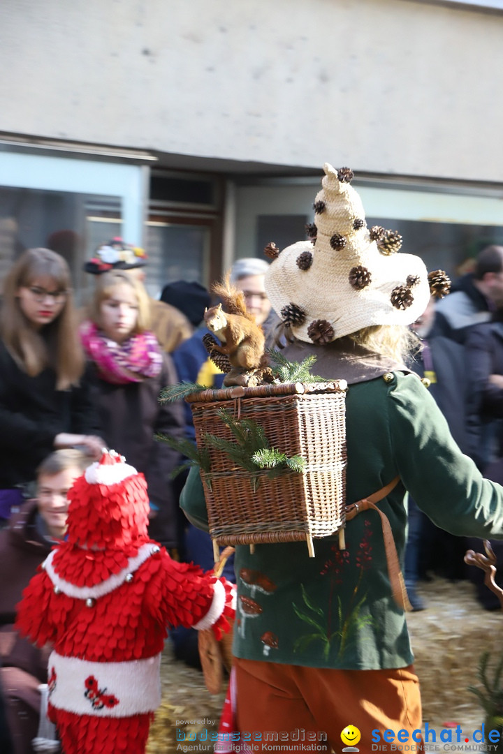 VSAN-Landschaftstreffen: Bad-Waldsee, 28.01.2018