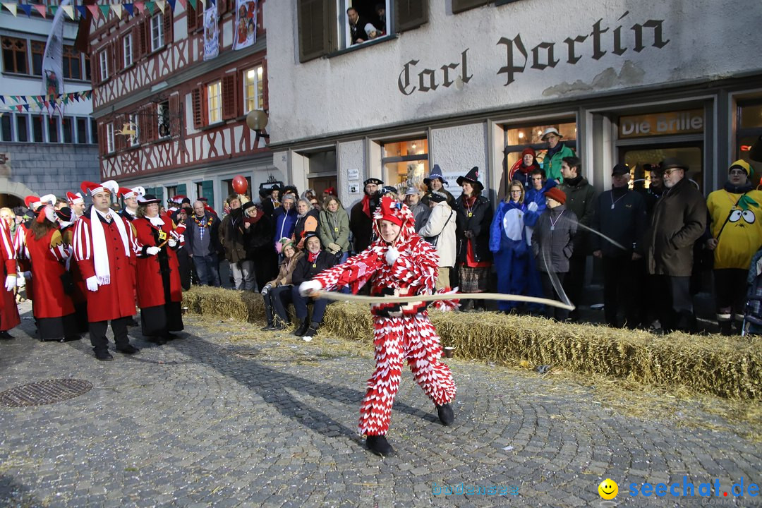 VSAN-Landschaftstreffen: Bad-Waldsee, 28.01.2018