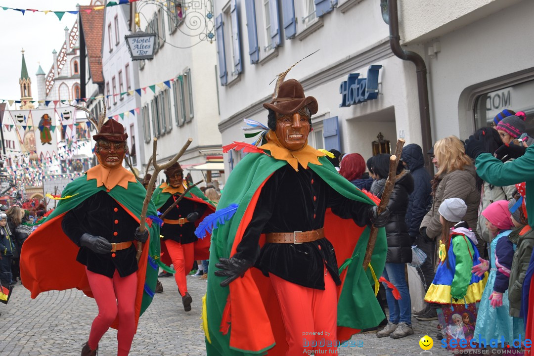 VSAN-Landschaftstreffen: Bad-Waldsee, 28.01.2018