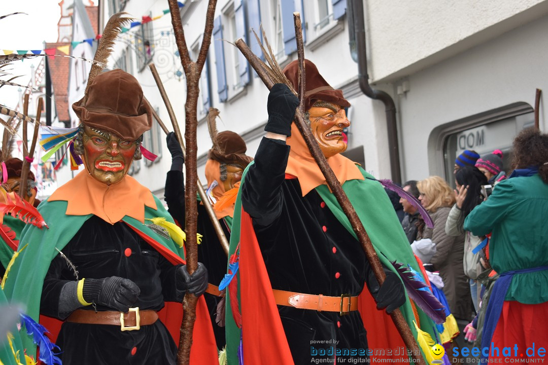 VSAN-Landschaftstreffen: Bad-Waldsee, 28.01.2018