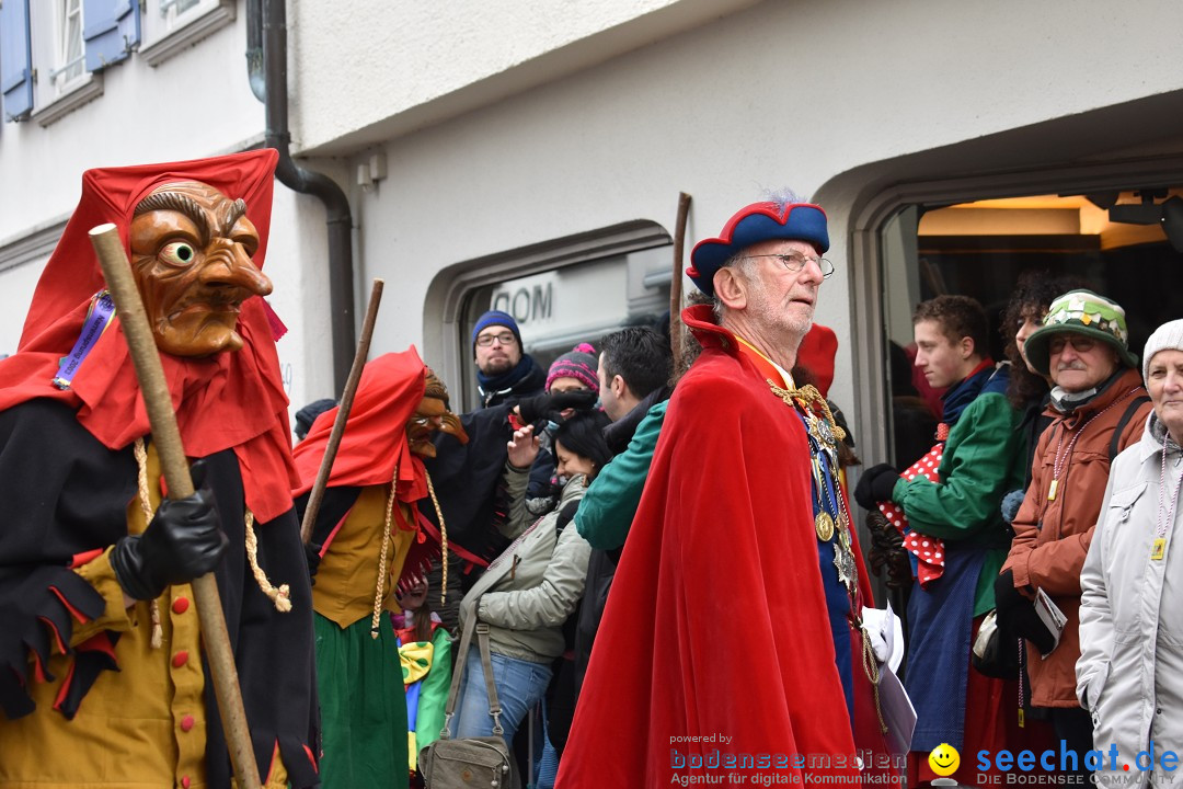 VSAN-Landschaftstreffen: Bad-Waldsee, 28.01.2018