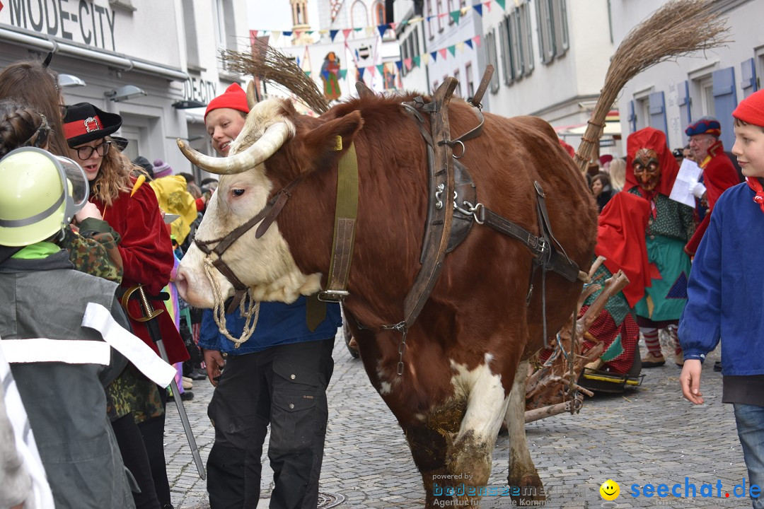 VSAN-Landschaftstreffen: Bad-Waldsee, 28.01.2018