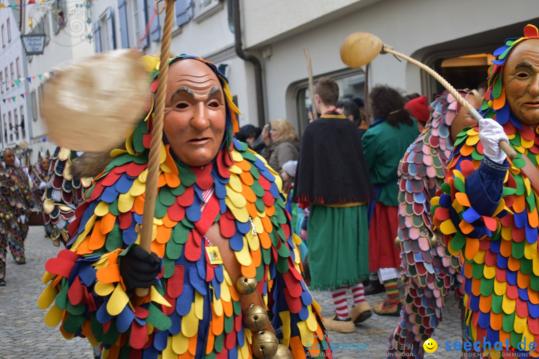 VSAN-Landschaftstreffen: Bad-Waldsee, 28.01.2018