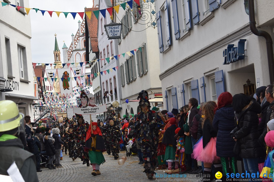 VSAN-Landschaftstreffen: Bad-Waldsee, 28.01.2018