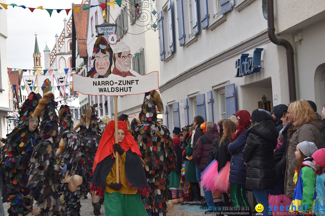 VSAN-Landschaftstreffen: Bad-Waldsee, 28.01.2018