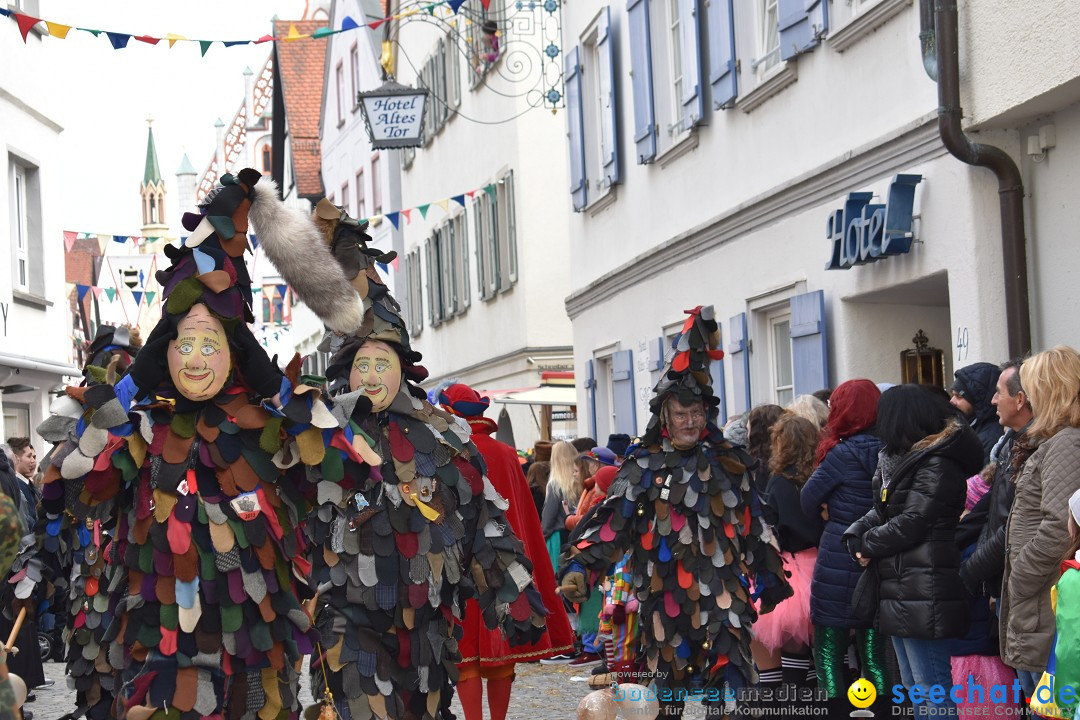 VSAN-Landschaftstreffen: Bad-Waldsee, 28.01.2018