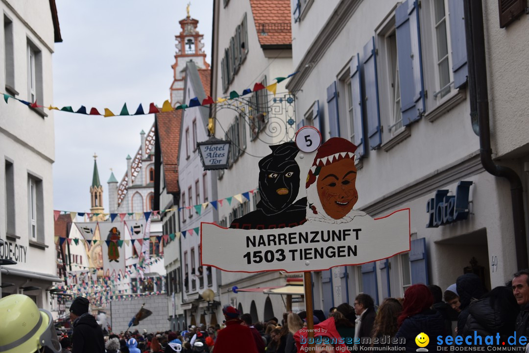 VSAN-Landschaftstreffen: Bad-Waldsee, 28.01.2018