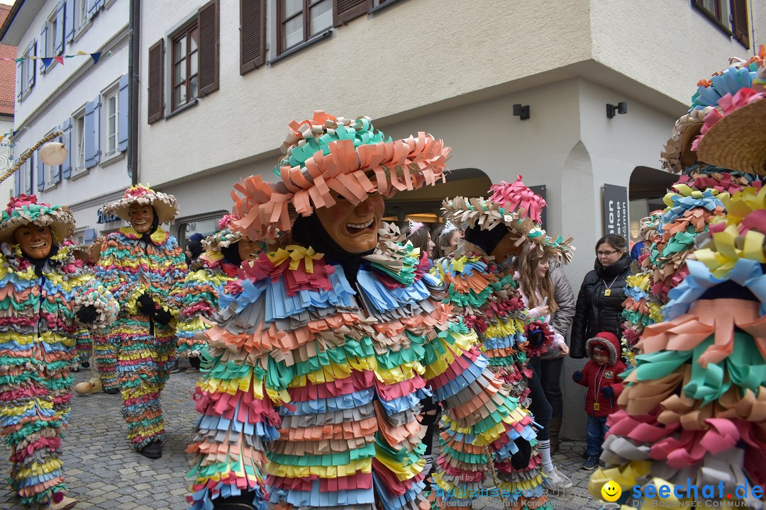 VSAN-Landschaftstreffen: Bad-Waldsee, 28.01.2018