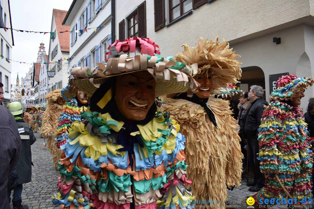 VSAN-Landschaftstreffen: Bad-Waldsee, 28.01.2018