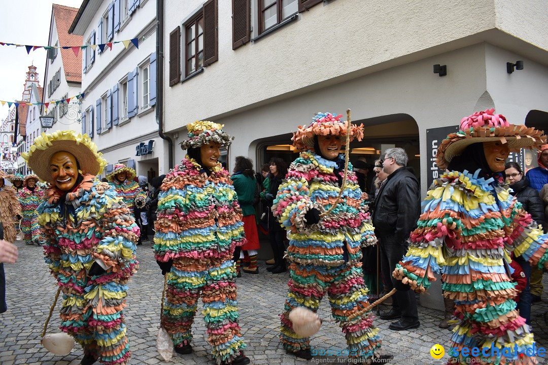 VSAN-Landschaftstreffen: Bad-Waldsee, 28.01.2018