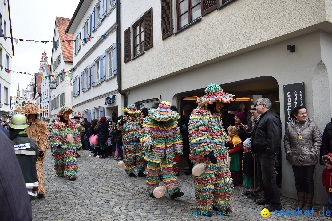 VSAN-Landschaftstreffen: Bad-Waldsee, 28.01.2018