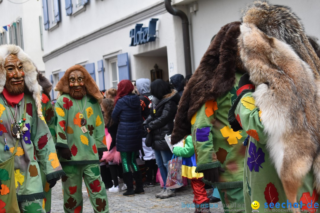 VSAN-Landschaftstreffen: Bad-Waldsee, 28.01.2018