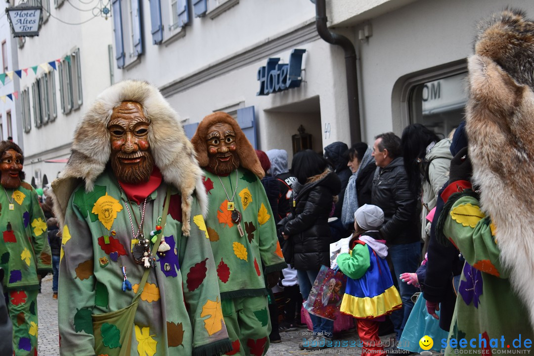 VSAN-Landschaftstreffen: Bad-Waldsee, 28.01.2018