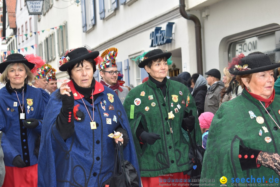 VSAN-Landschaftstreffen: Bad-Waldsee, 28.01.2018