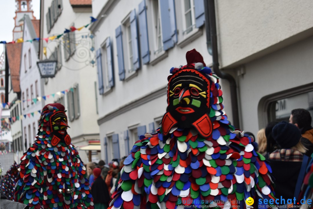 VSAN-Landschaftstreffen: Bad-Waldsee, 28.01.2018