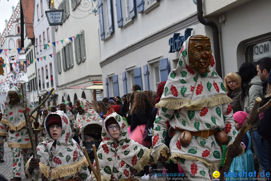 VSAN-Landschaftstreffen: Bad-Waldsee, 28.01.2018