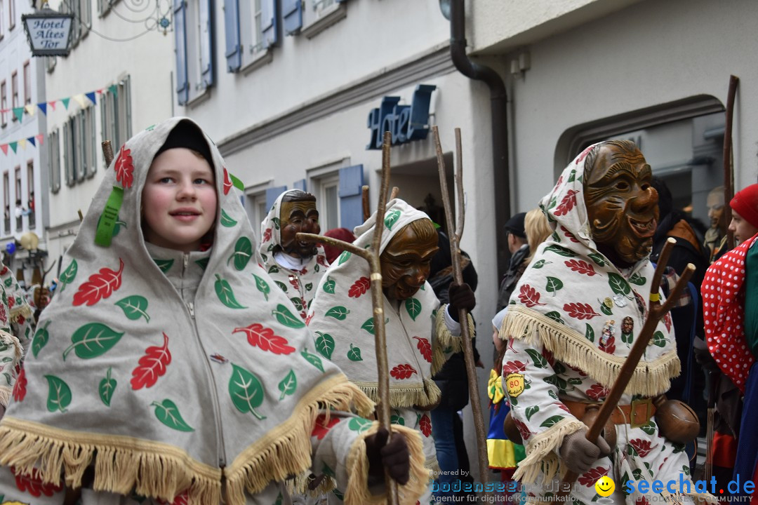 VSAN-Landschaftstreffen: Bad-Waldsee, 28.01.2018