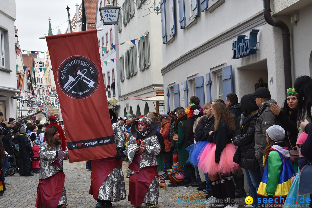 VSAN-Landschaftstreffen: Bad-Waldsee, 28.01.2018