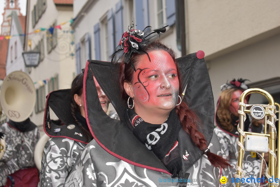 VSAN-Landschaftstreffen: Bad-Waldsee, 28.01.2018