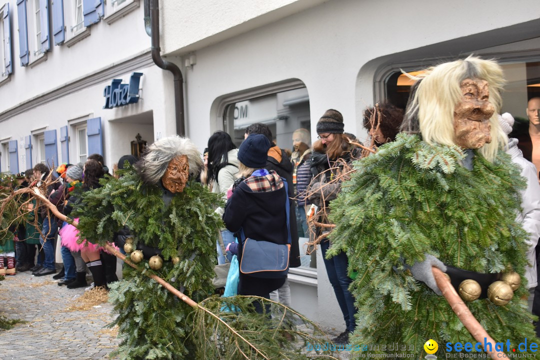 VSAN-Landschaftstreffen: Bad-Waldsee, 28.01.2018