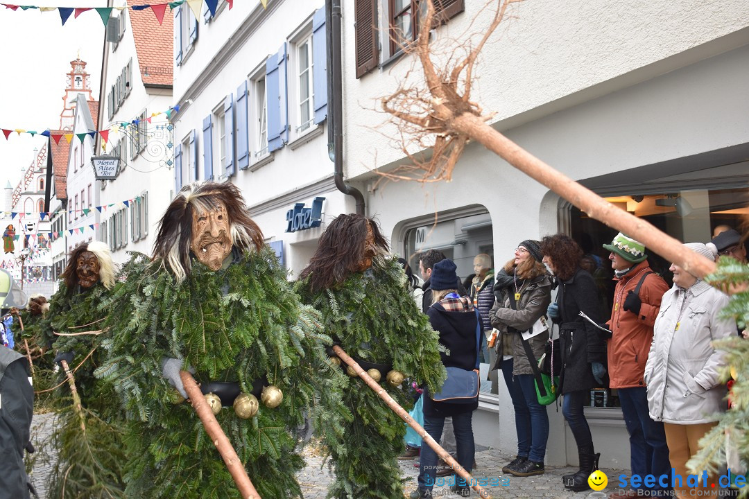 VSAN-Landschaftstreffen: Bad-Waldsee, 28.01.2018