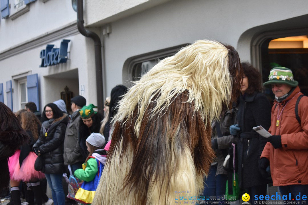 VSAN-Landschaftstreffen: Bad-Waldsee, 28.01.2018