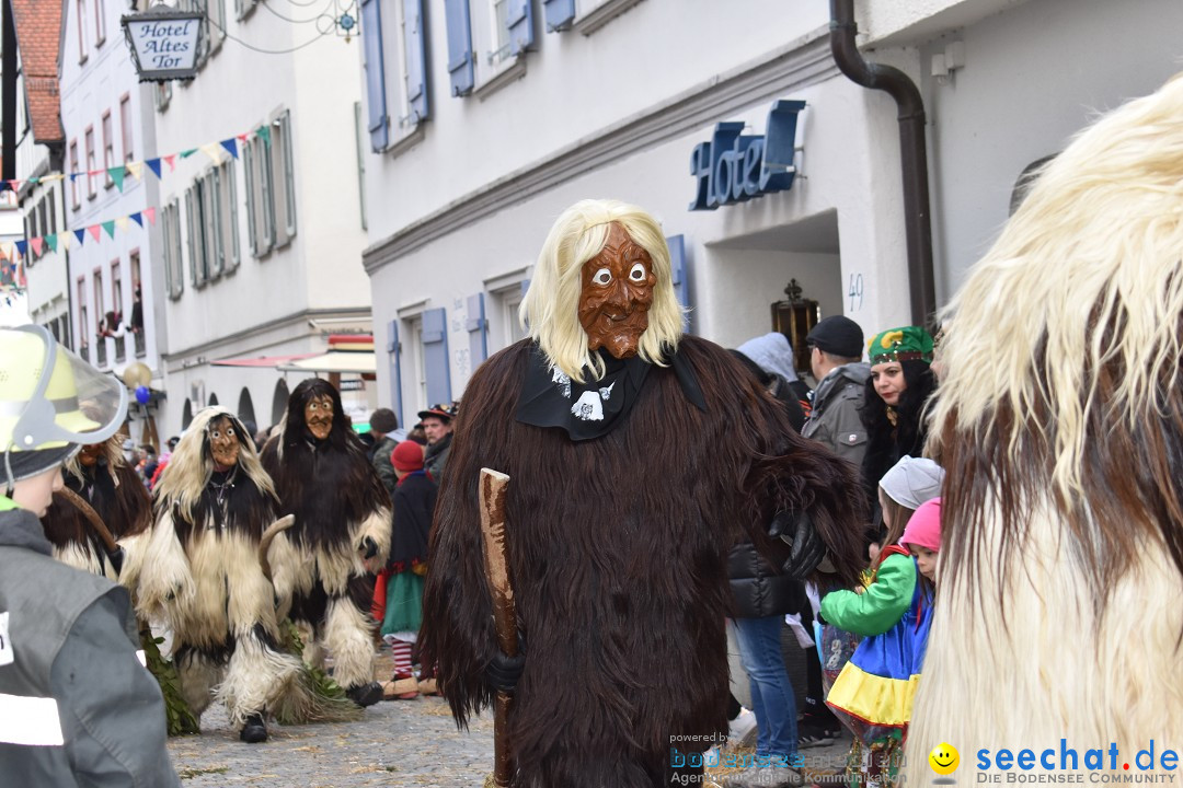 VSAN-Landschaftstreffen: Bad-Waldsee, 28.01.2018