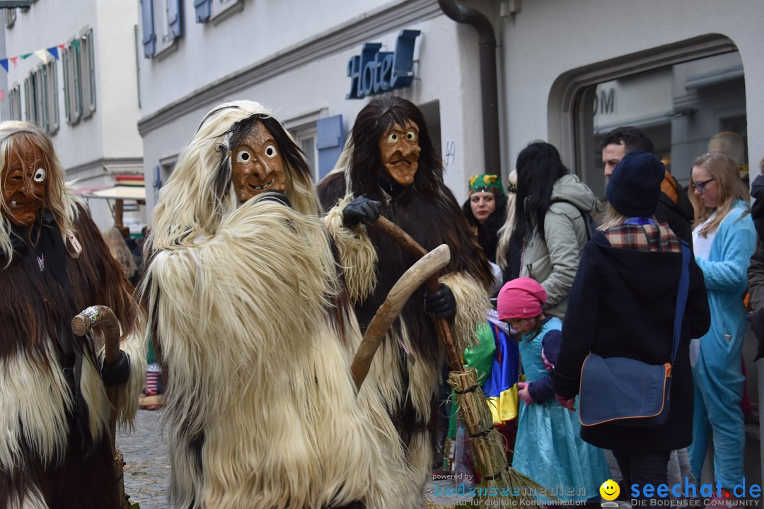 VSAN-Landschaftstreffen: Bad-Waldsee, 28.01.2018