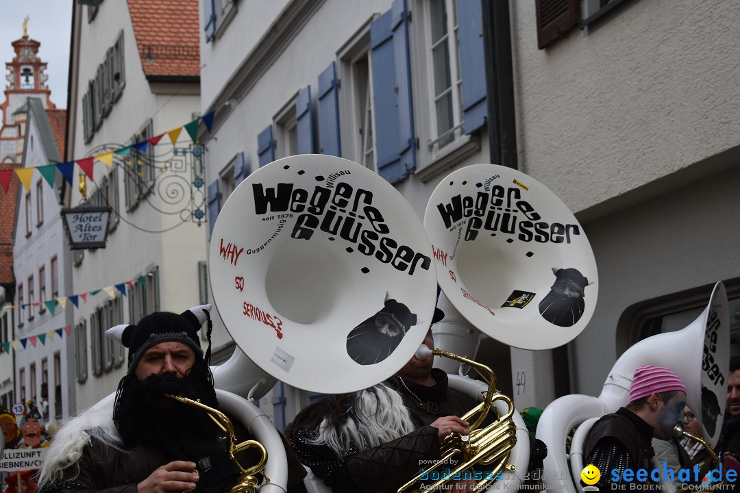 VSAN-Landschaftstreffen: Bad-Waldsee, 28.01.2018